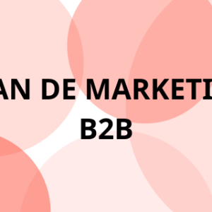 PLAN DE MARKETING B2B